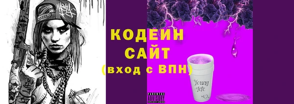 ГАЛЛЮЦИНОГЕННЫЕ ГРИБЫ Бородино
