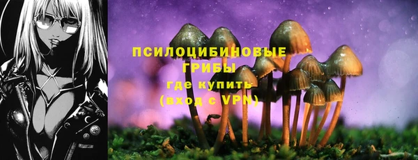ГАЛЛЮЦИНОГЕННЫЕ ГРИБЫ Бородино