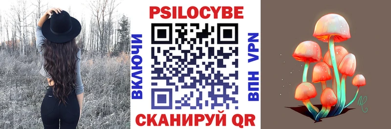 как найти закладки  Старица  Псилоцибиновые грибы GOLDEN TEACHER 